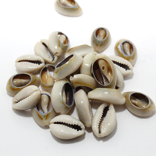 CARACOLES O CONCHAS PARA ADIVINACIÓN PACK DE 10 UND