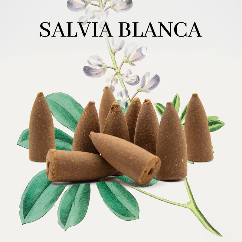 INCIENSO EN CONO DE REFLUJO DE SALVIA BLANCA - PURIFICACIÓN Y EQUILIBRIO